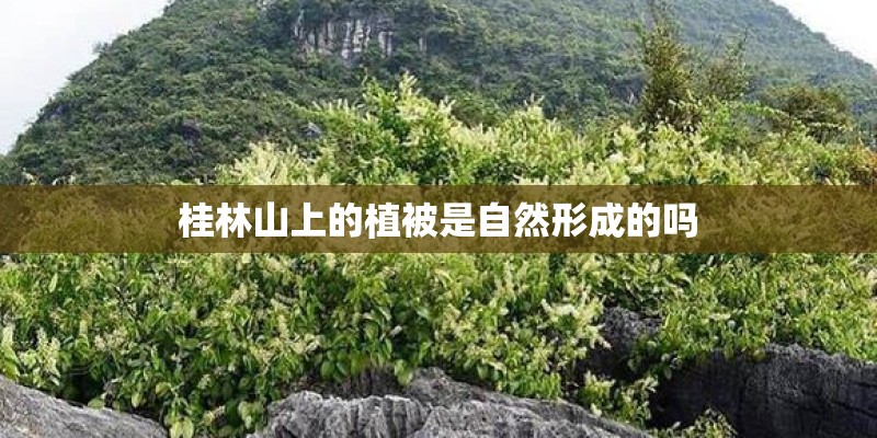 桂林山上的植被是自然形成的吗 桂林山上的植被是自然形成的吗