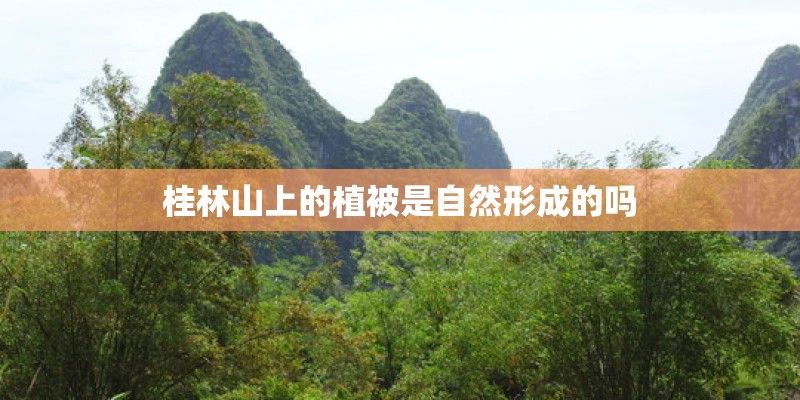 桂林山上的植被是自然形成的吗 桂林山上的植被是自然形成的吗