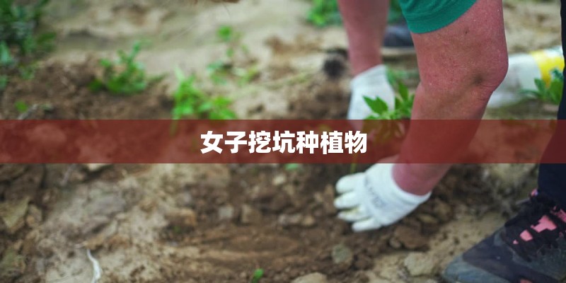 女子挖坑种植物