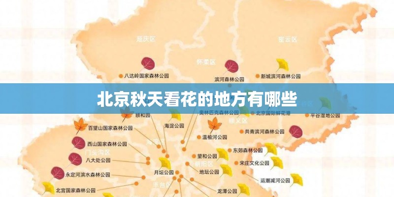 北京秋天看花的地方有哪些 北京秋天看花的地方有哪些