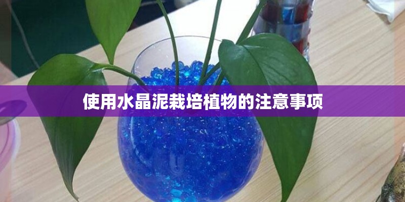 使用水晶泥栽培植物的注意事项