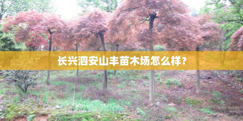长兴泗安山丰苗木场怎么样? 长兴泗安山丰苗木场怎么样?