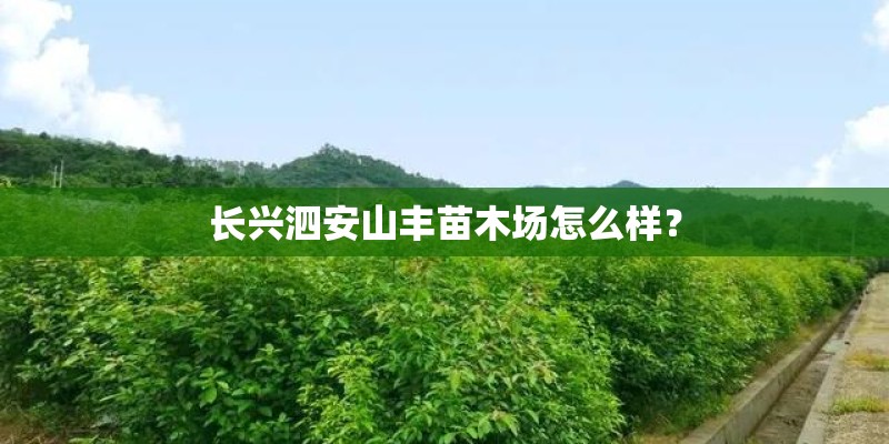 长兴泗安山丰苗木场怎么样? 长兴泗安山丰苗木场怎么样?