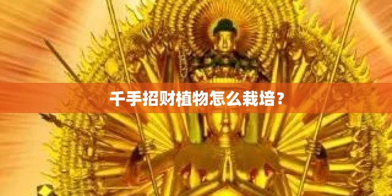 千手招财植物怎么栽培？