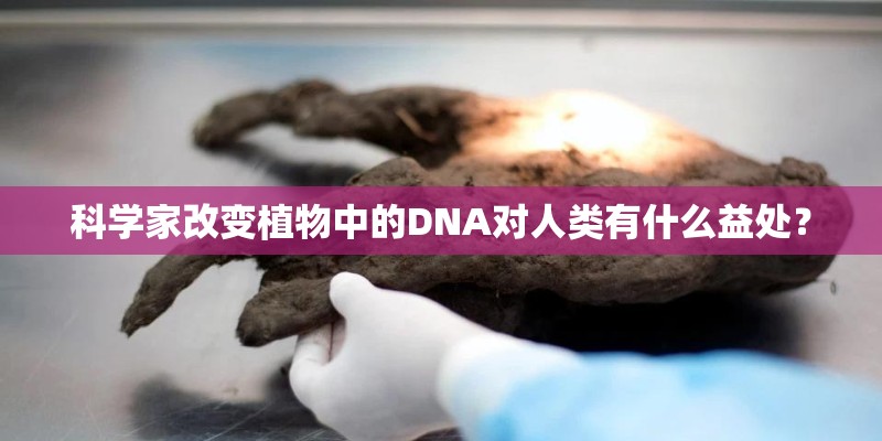 科学家改变植物中的DNA对人类有什么益处? 科学家改变植物中的DNA对人类有什么益处?