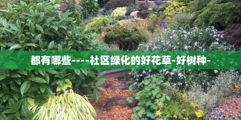 都有哪些----社区绿化的好花草-好树种-