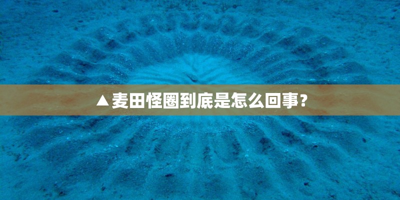 ▲麦田怪圈到底是怎么回事？