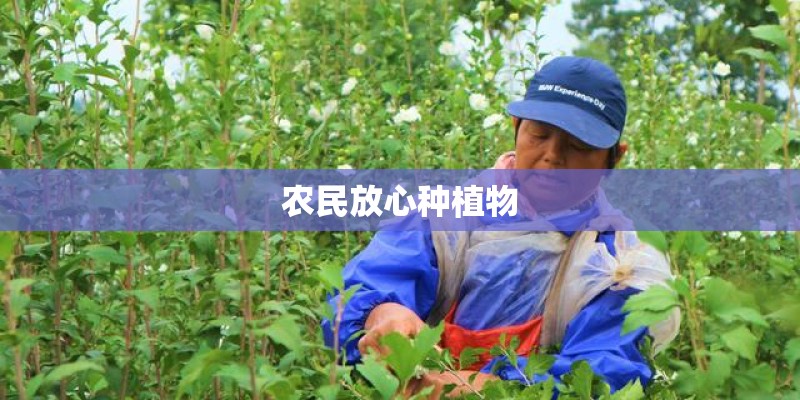 农民放心种植物