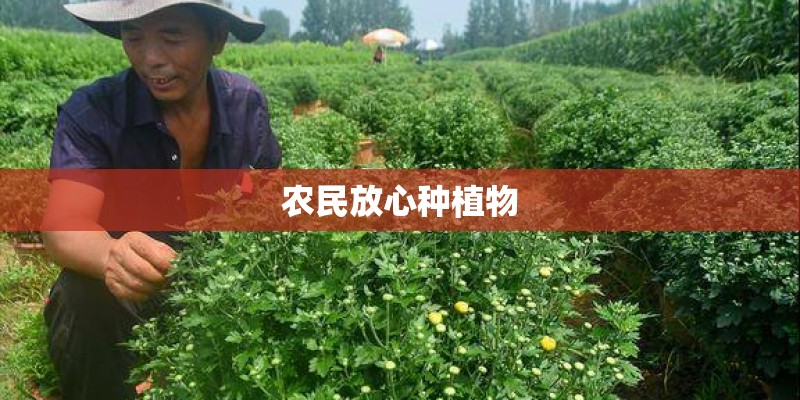 农民放心种植物