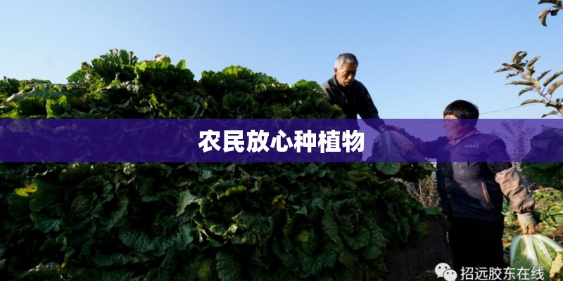 农民放心种植物