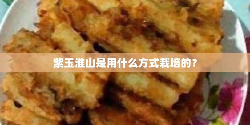 紫玉淮山是用什么方式栽培的？