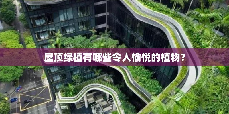 屋顶绿植有哪些令人愉悦的植物？