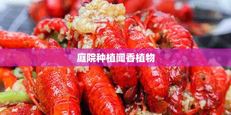 庭院种植闻香植物 庭院种植闻香植物