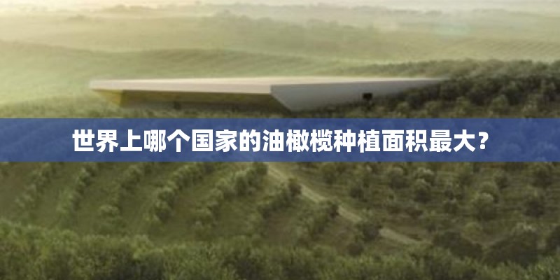 世界上哪个国家的油橄榄种植面积最大？