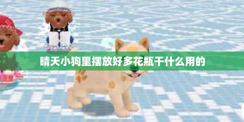 晴天小狗里摆放好多花瓶干什么用的