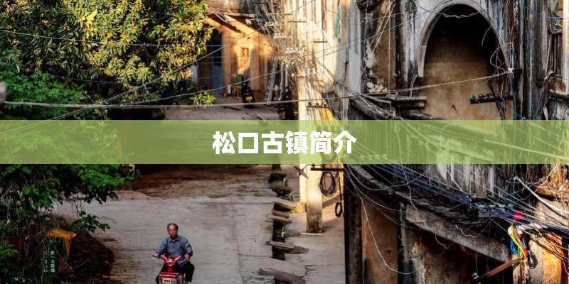 松口古镇简介