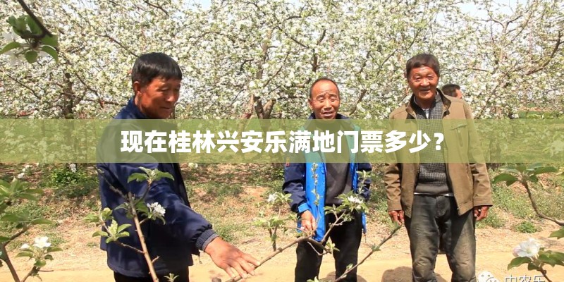 现在桂林兴安乐满地门票多少？
