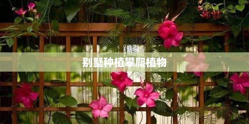 别墅种植攀爬植物