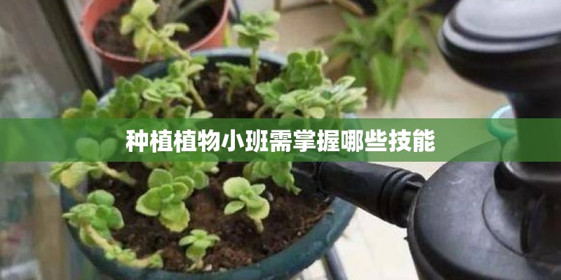 种植植物小班需掌握哪些技能