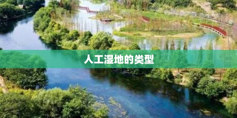 人工湿地的类型