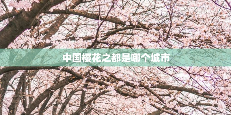 中国樱花之都是哪个城市